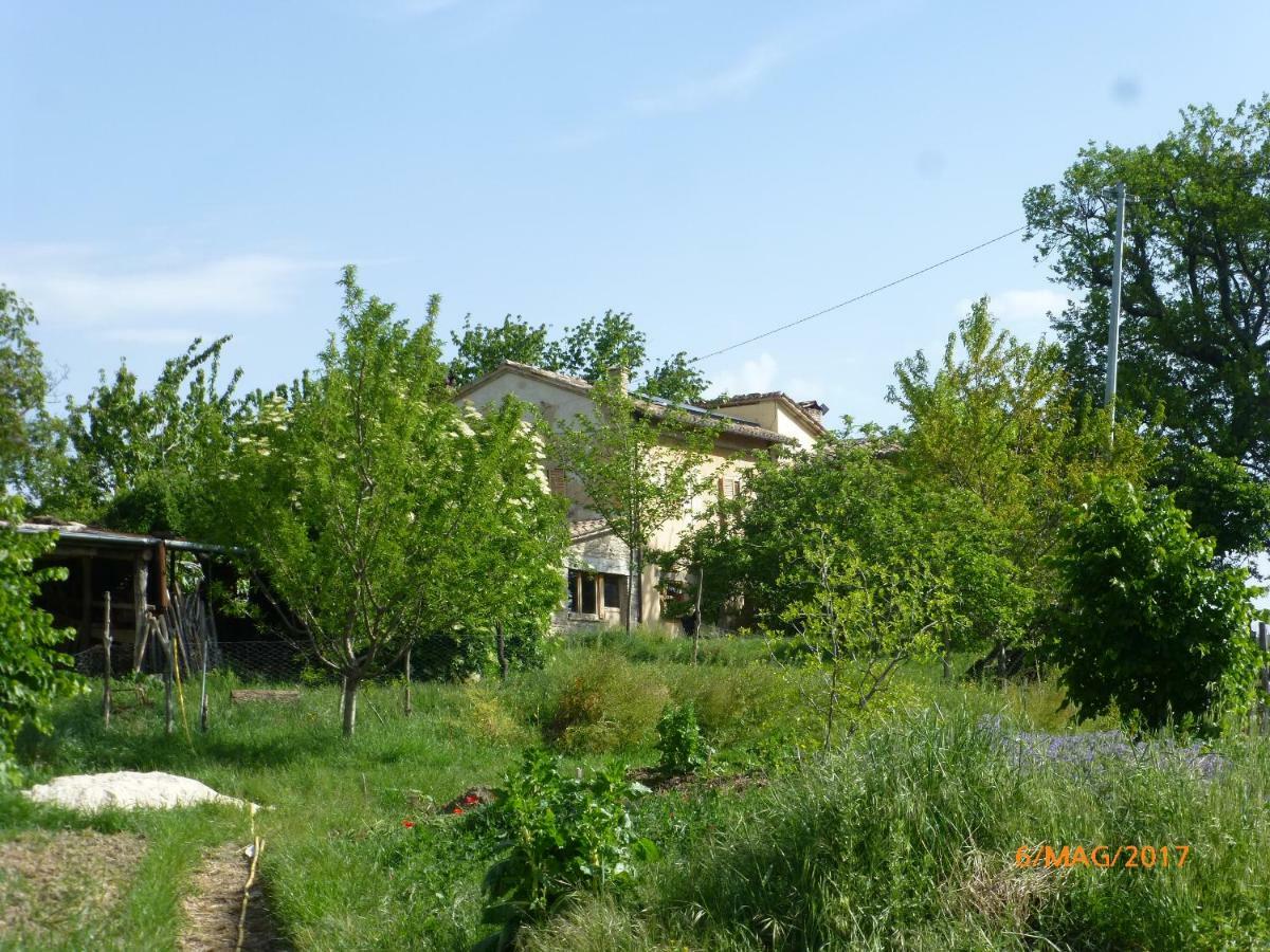 Casa Della Casa Apartamento San Severino Marche Exterior foto